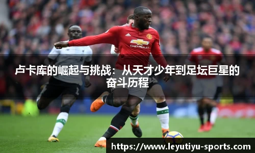 乐鱼体育平台